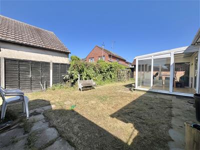 Picture 15